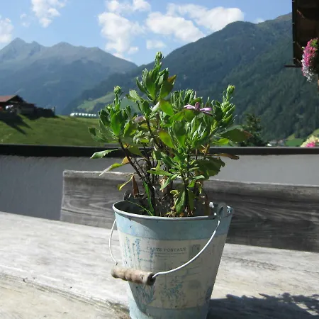 Haus Gamskogl Apartment Neustift im Stubaital Exterior photo