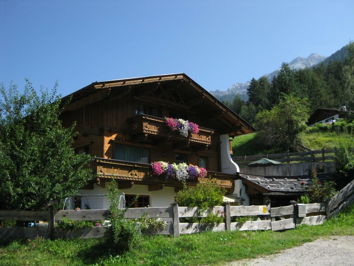 Haus Gamskogl Appartement